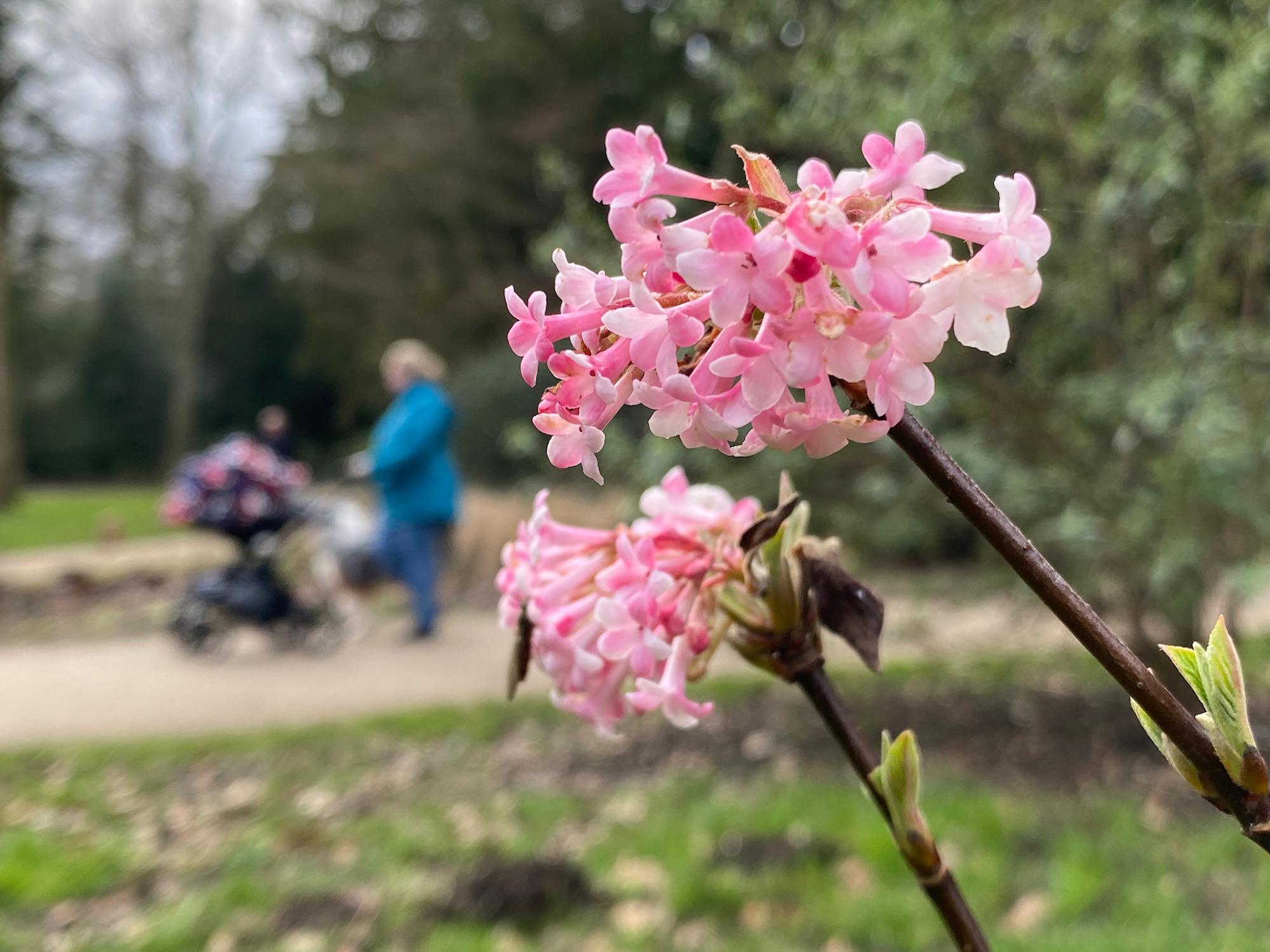 Die Natur blüht im Frühling wieder auf. Das Leben geht weiter.